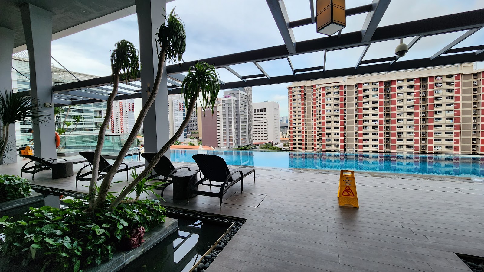 An empty rooftop infinity pool with lounge chairs on a wooden deck, surrounded by lush plants and offering a clear city view.