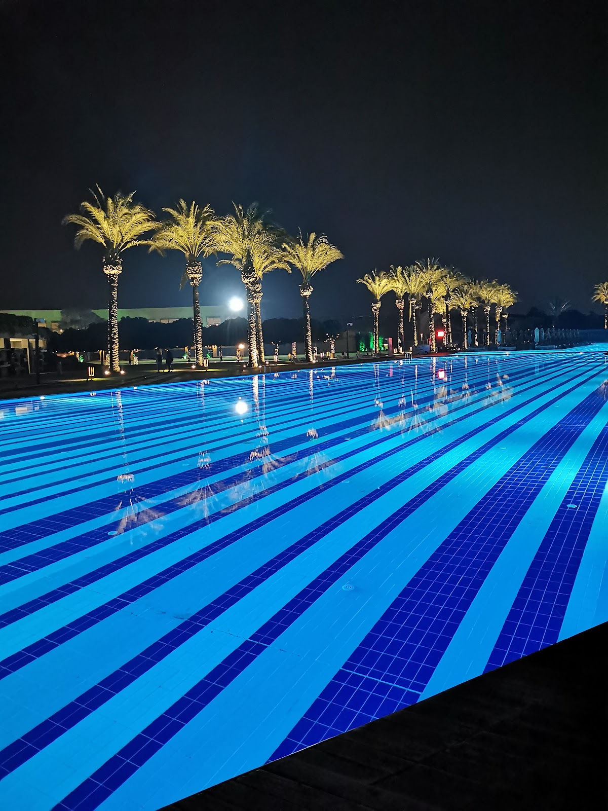 The expansive outdoor pool, identical to image 2 and 4, beautifully illuminated at night, with palm trees reflecting in the water under a dark sky.