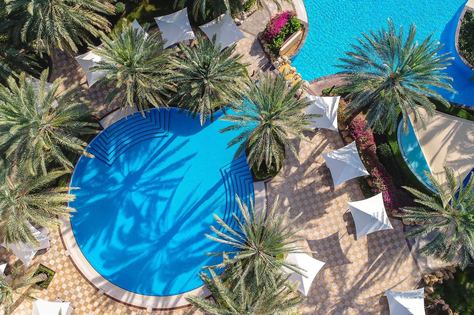 An aerial view of a circular swimming pool surrounded by numerous palm trees and sun umbrellas, indicating a lush, shaded, and potentially segmented pool area within the resort.