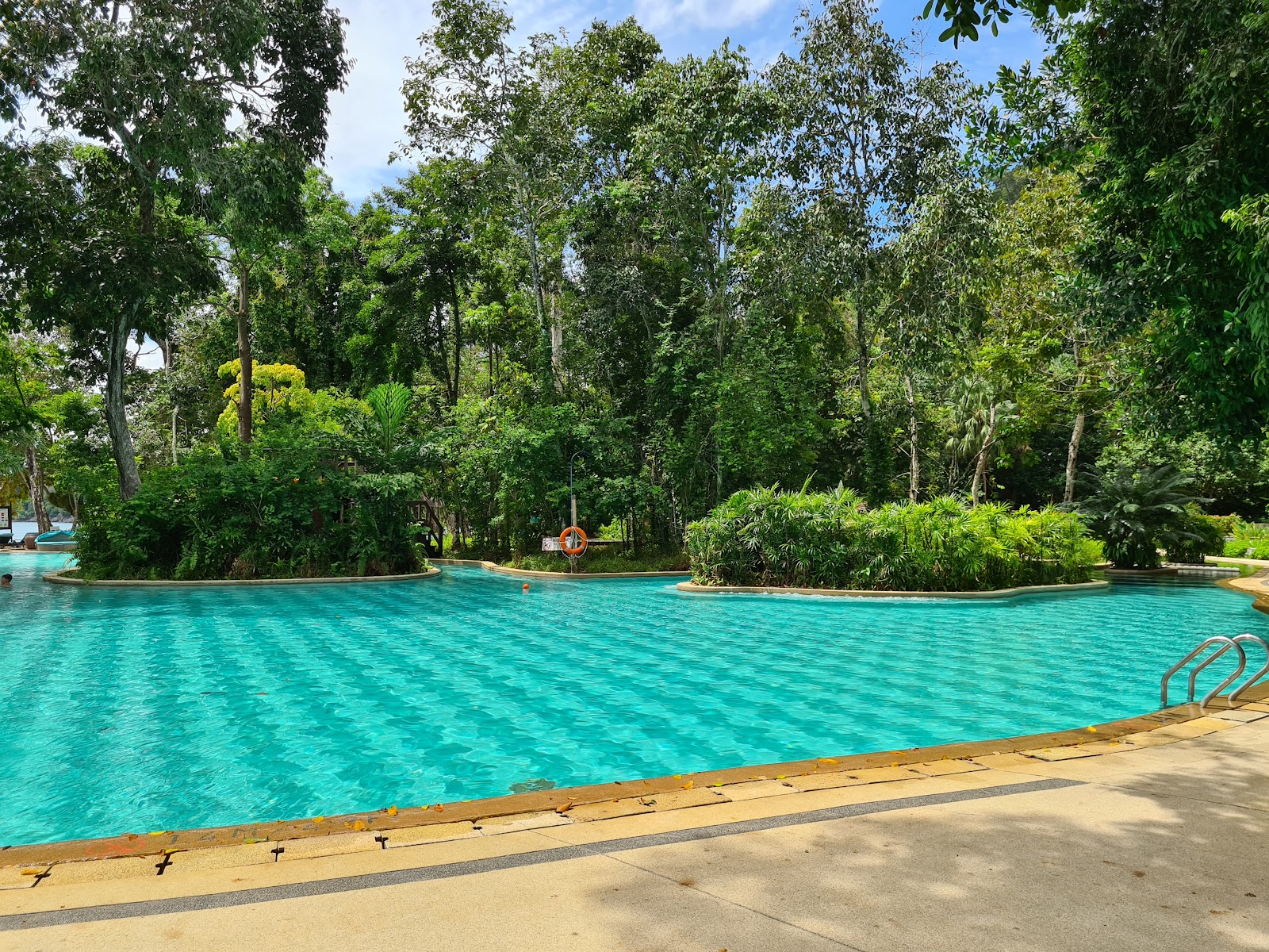 A large, expansive shared swimming pool with a unique tile pattern, surrounded by dense tropical rainforest, offering a tranquil and natural setting.